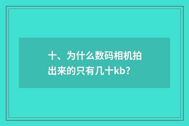 十、为什么数码相机拍出来的只有几十kb?