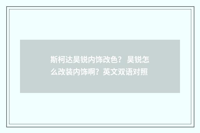 斯柯达昊锐内饰改色? 昊锐怎么改装内饰啊?英文双语对照