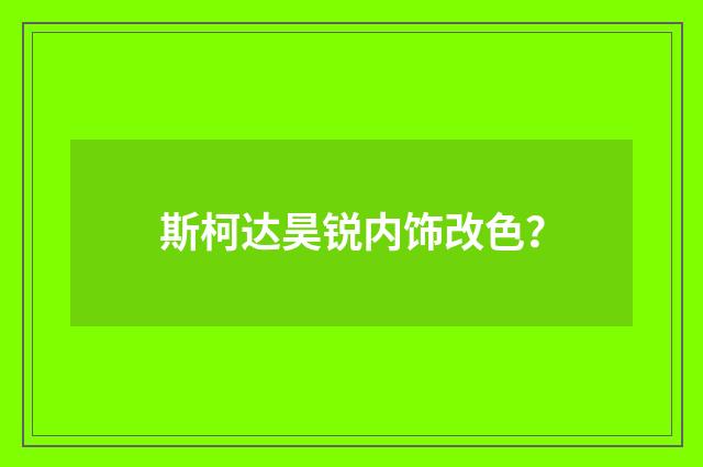 斯柯达昊锐内饰改色?