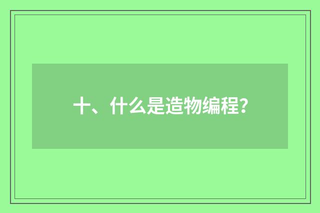十、什么是造物编程?
