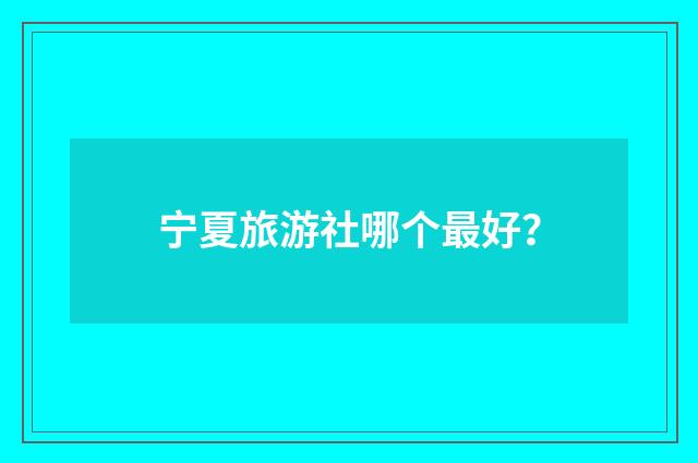 宁夏旅游社哪个最好?