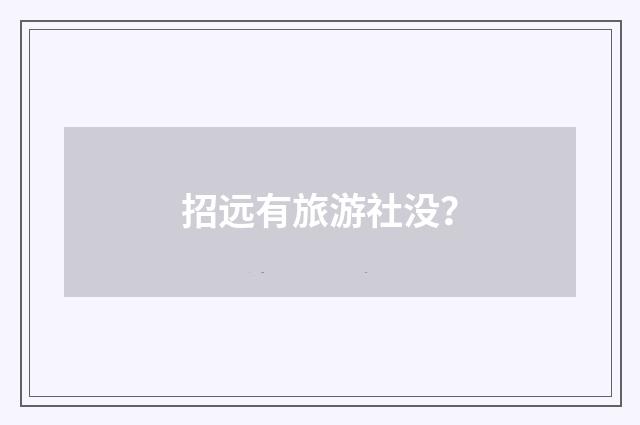招远有旅游社没?