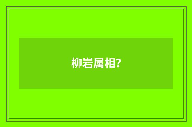 柳岩属相?