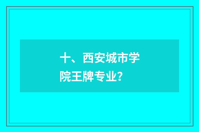 十、西安城市学院王牌专业?