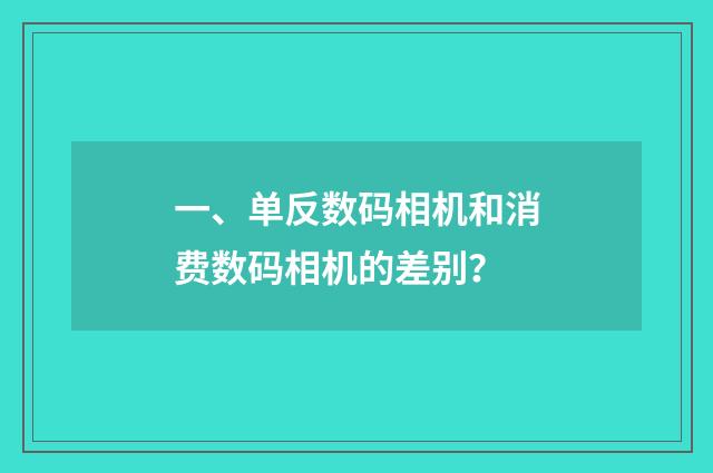 一、单反数码相机和消费数码相机的差别？