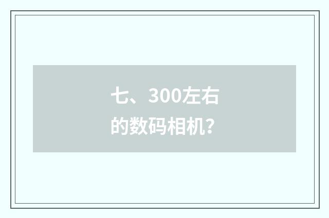 七、300左右的数码相机?