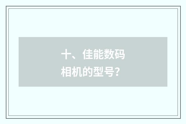 十、佳能数码相机的型号？