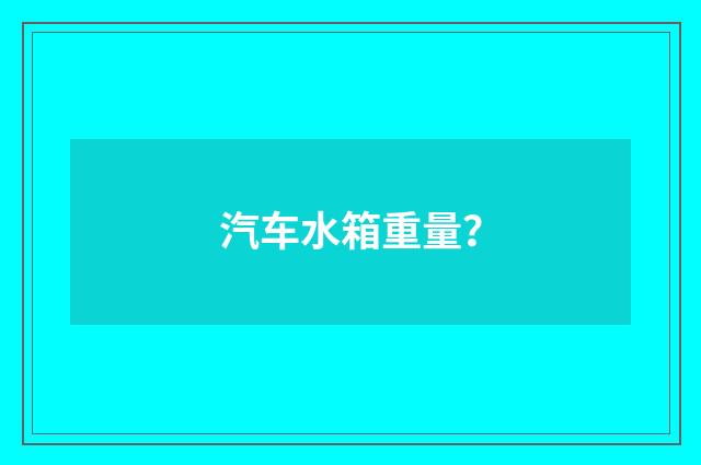 汽车水箱重量？