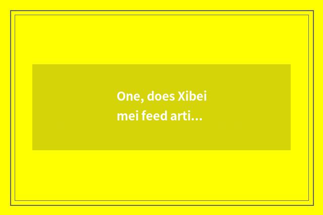 One, does Xibeimei feed artistic school how?