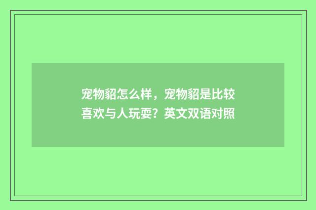 宠物貂怎么样,宠物貂是比较喜欢与人玩耍?英文双语对照