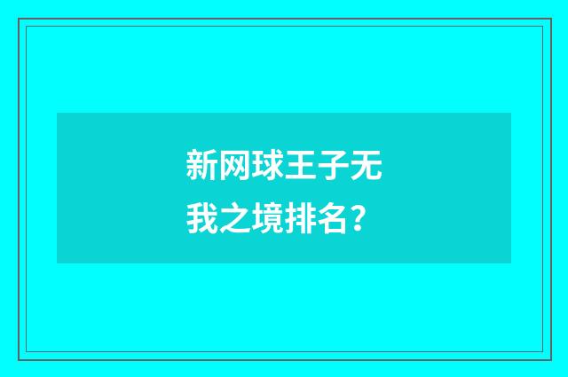 新网球王子无我之境排名?
