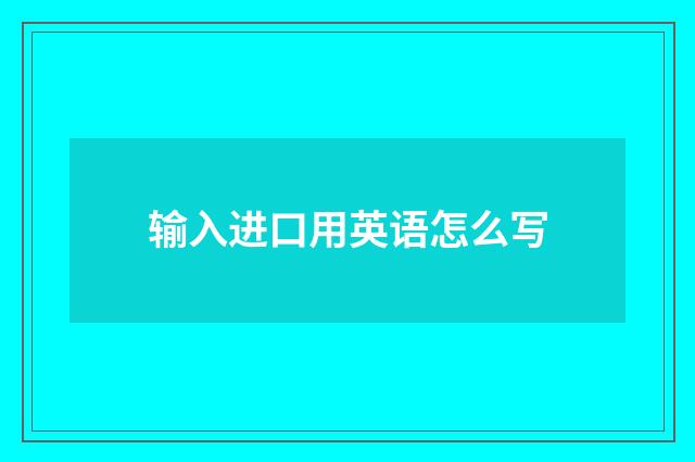输入进口用英语怎么写