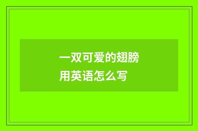 一双可爱的翅膀用英语怎么写