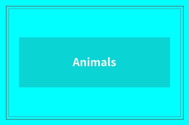 Animals
