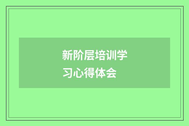新阶层培训学习心得体会
