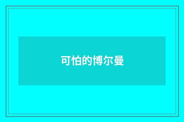 可怕的博尔曼