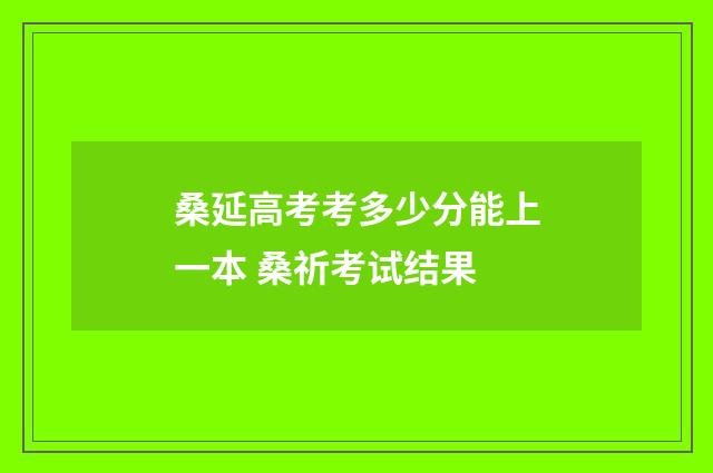桑延高考考多少分能上一本 桑祈考试结果