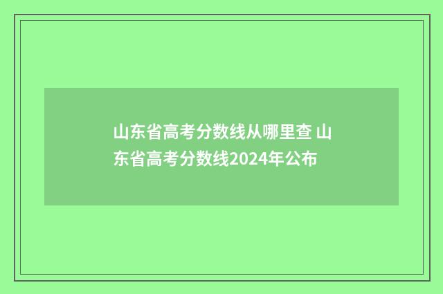 山东省高考分数线从哪里查 山东省高考分数线2024年公布