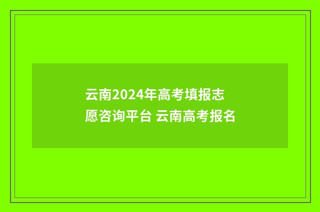 云南2024年高考填报志愿咨询平台 云南高考报名