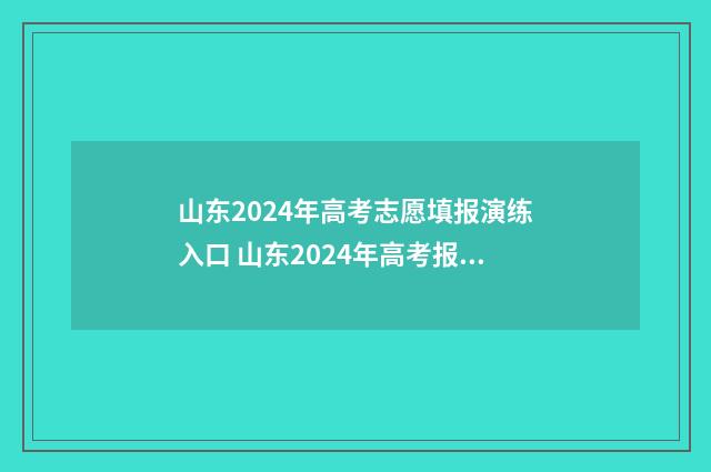 山东2024年高考志愿填报演练入口 山东2024年高考报名