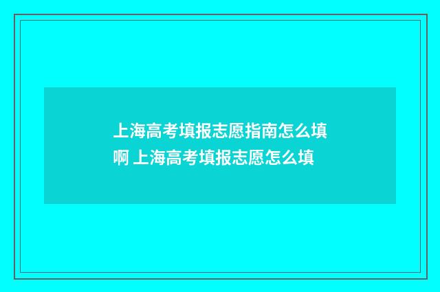 上海高考填报志愿指南怎么填啊 上海高考填报志愿怎么填