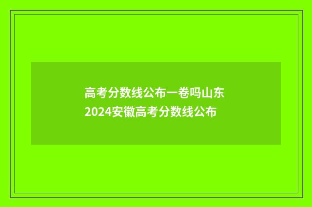 高考分数线公布一卷吗山东 2024安徽高考分数线公布
