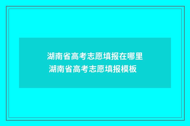 湖南省高考志愿填报在哪里 湖南省高考志愿填报模板