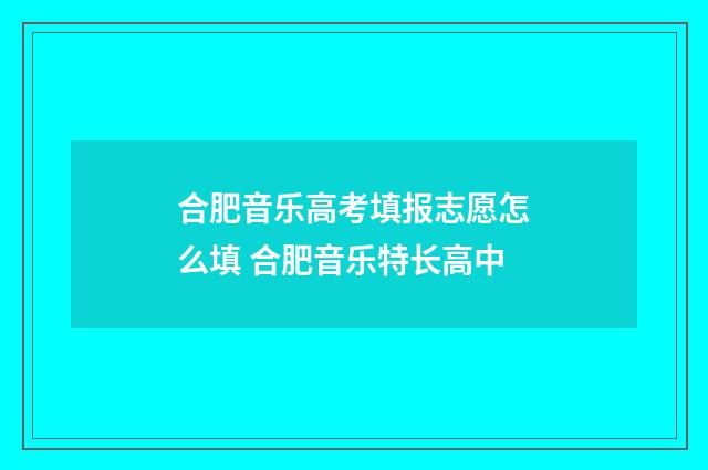 合肥音乐高考填报志愿怎么填 合肥音乐特长高中