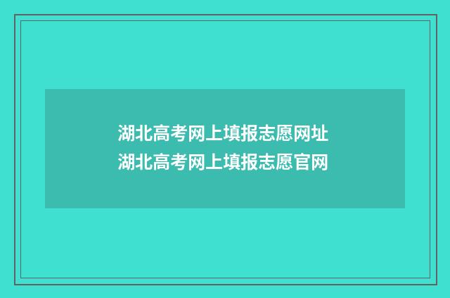 湖北高考网上填报志愿网址 湖北高考网上填报志愿官网