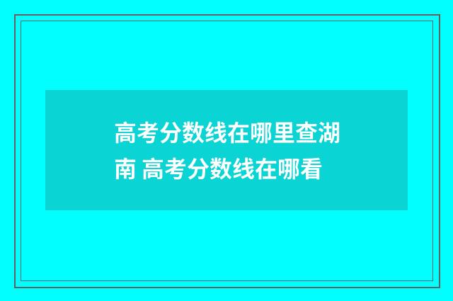 高考分数线在哪里查湖南 高考分数线在哪看