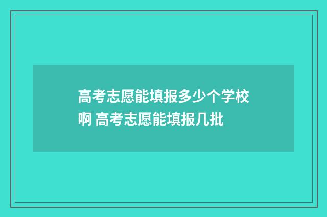 高考志愿能填报多少个学校啊 高考志愿能填报几批