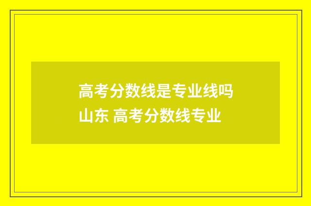 高考分数线是专业线吗山东 高考分数线专业