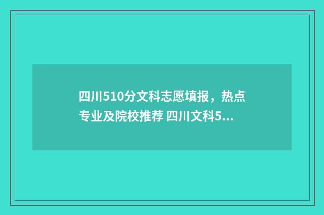 四川510分文科志愿填报，热点专业及院校推荐 四川文科505分