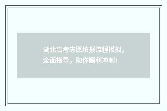 湖北高考志愿填报流程模拟,全面指导,助你顺利冲刺!