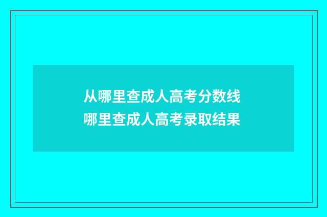 从哪里查成人高考分数线 哪里查成人高考录取结果