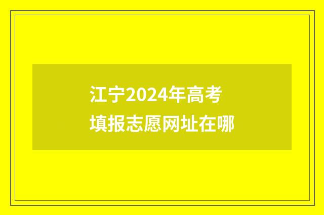 江宁2024年高考填报志愿网址在哪