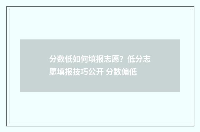 分数低如何填报志愿?低分志愿填报技巧公开 分数偏低