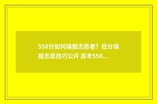 558分如何填报志愿者？低分填报志愿技巧公开 高考558分报什么学校
