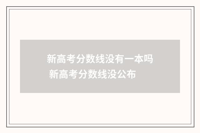新高考分数线没有一本吗 新高考分数线没公布
