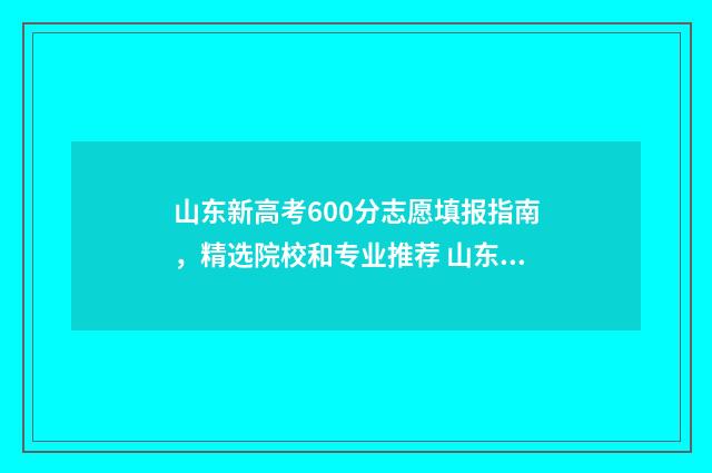 山东新高考600分志愿填报指南,精选院校和专业推荐 山东新高考600分相当于老高考多少分