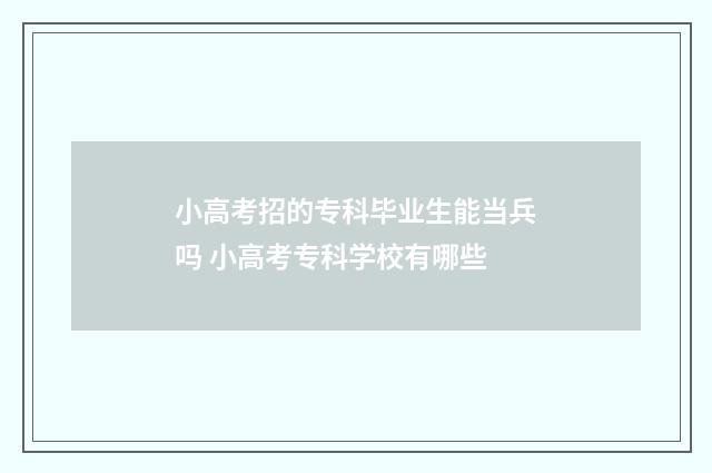 小高考招的专科毕业生能当兵吗 小高考专科学校有哪些