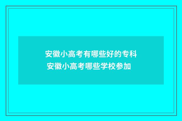 安徽小高考有哪些好的专科 安徽小高考哪些学校参加