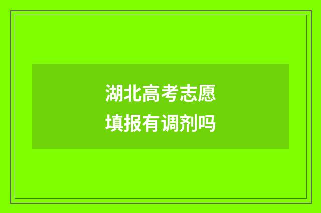 湖北高考志愿填报有调剂吗