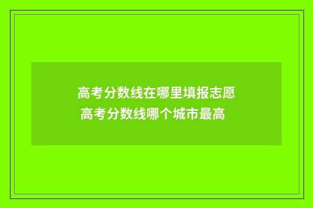 高考分数线在哪里填报志愿 高考分数线哪个城市最高