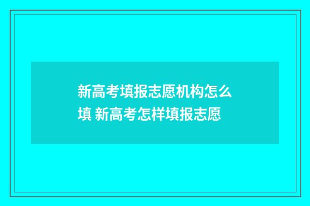 新高考填报志愿机构怎么填 新高考怎样填报志愿