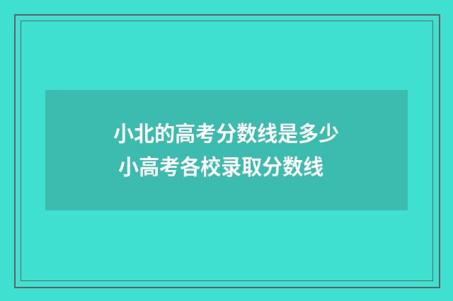 小北的高考分数线是多少 小高考各校录取分数线