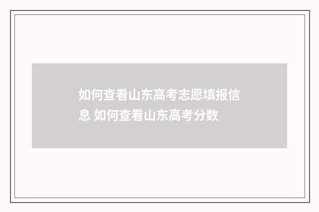 如何查看山东高考志愿填报信息 如何查看山东高考分数