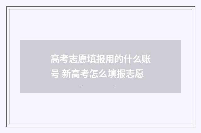 高考志愿填报用的什么账号 新高考怎么填报志愿