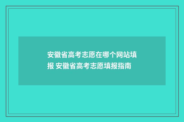 安徽省高考志愿在哪个网站填报 安徽省高考志愿填报指南