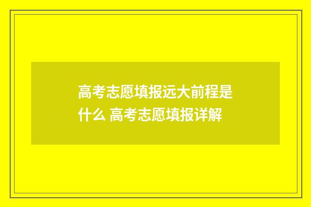 高考志愿填报远大前程是什么 高考志愿填报详解